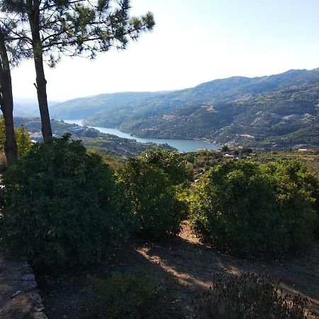 Paraiso Hills - Encostas Do Paraiso: Tranquilidade No Douro 雷森迪 外观 照片