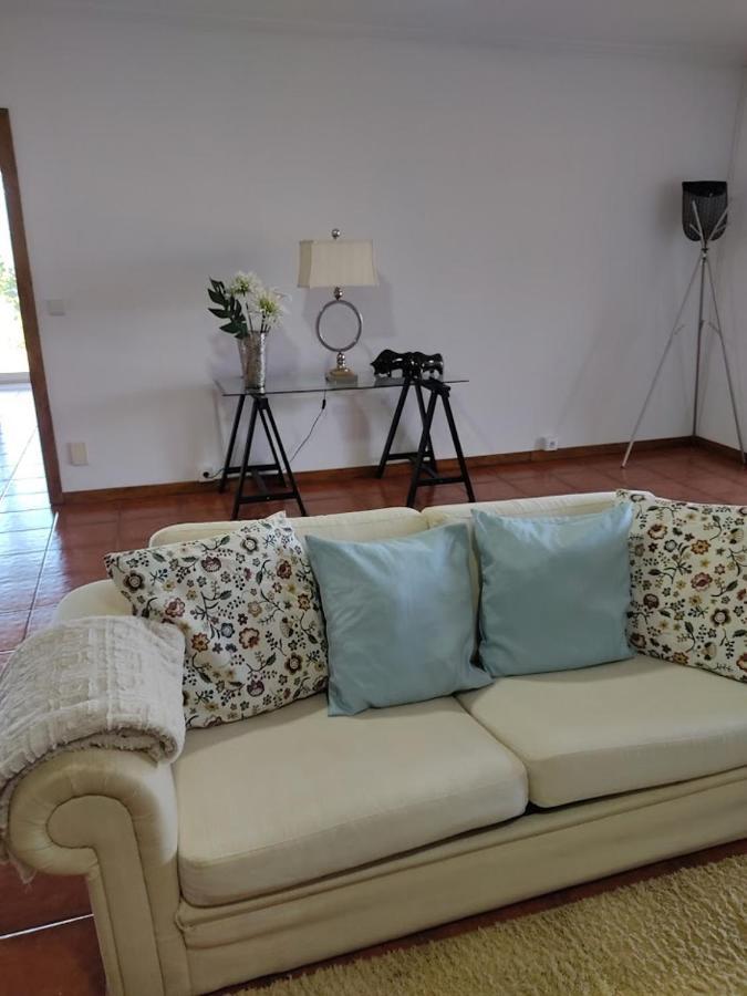 Paraiso Hills - Encostas Do Paraiso: Tranquilidade No Douro 雷森迪 外观 照片