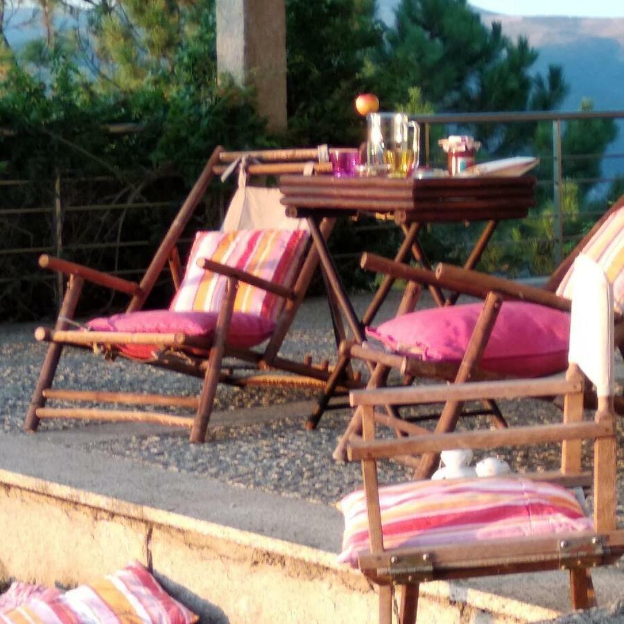 Paraiso Hills - Encostas Do Paraiso: Tranquilidade No Douro 雷森迪 外观 照片
