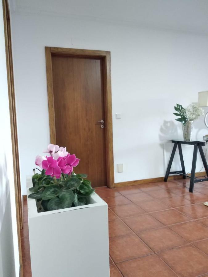 Paraiso Hills - Encostas Do Paraiso: Tranquilidade No Douro 雷森迪 外观 照片