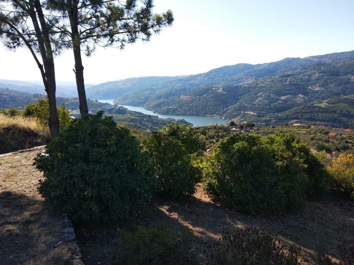 Paraiso Hills - Encostas Do Paraiso: Tranquilidade No Douro 雷森迪 外观 照片